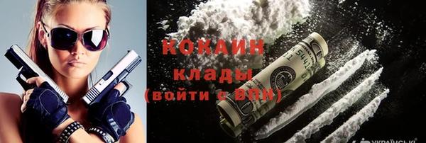 прущие грибы Заводоуковск