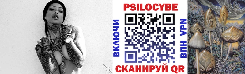 Псилоцибиновые грибы Cubensis  магазин    Приморск 